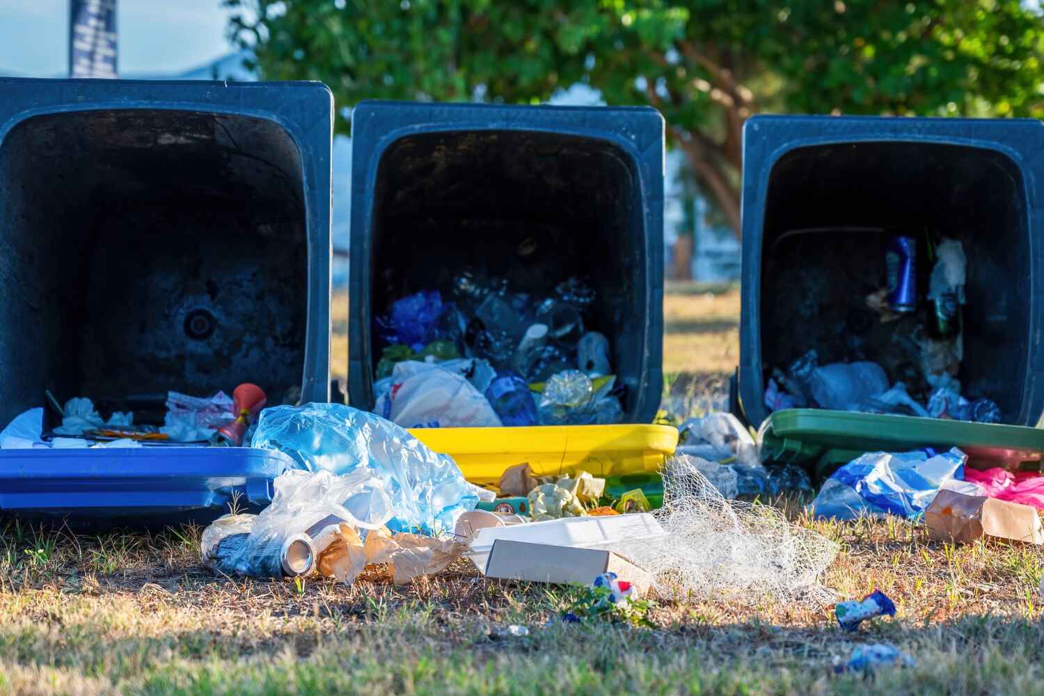 Best Local Junk Hauling  in Lockhart, FL